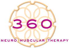 360nmt logo